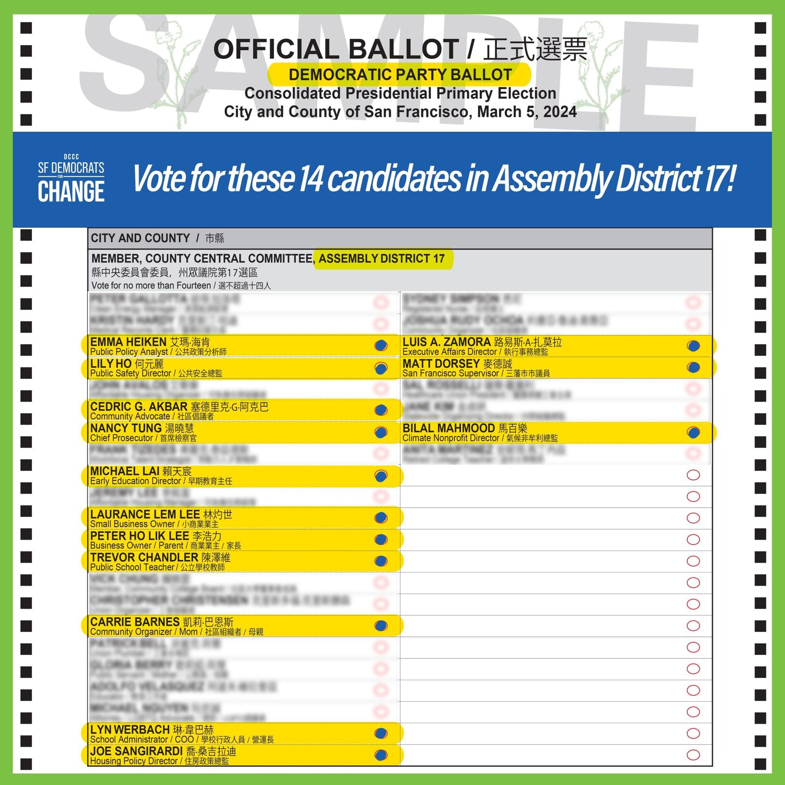 2024 SF DCCC election - D17 sample ballot
