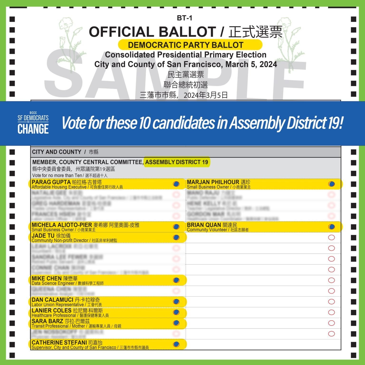 2024 SF DCCC election - D19 sample ballot