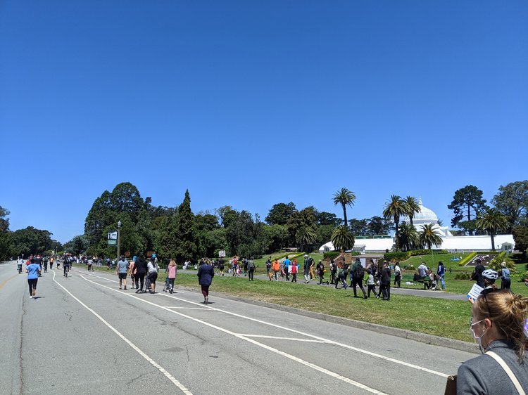 2023-11-05 golden gate park Image